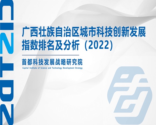 国产高中粉嫩生日哭【成果发布】广西壮族自治区城市科技创新发展指数排名及分析（2022）